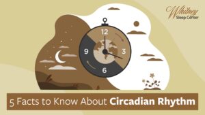 5 Facts to Know about Circadian Rhythm